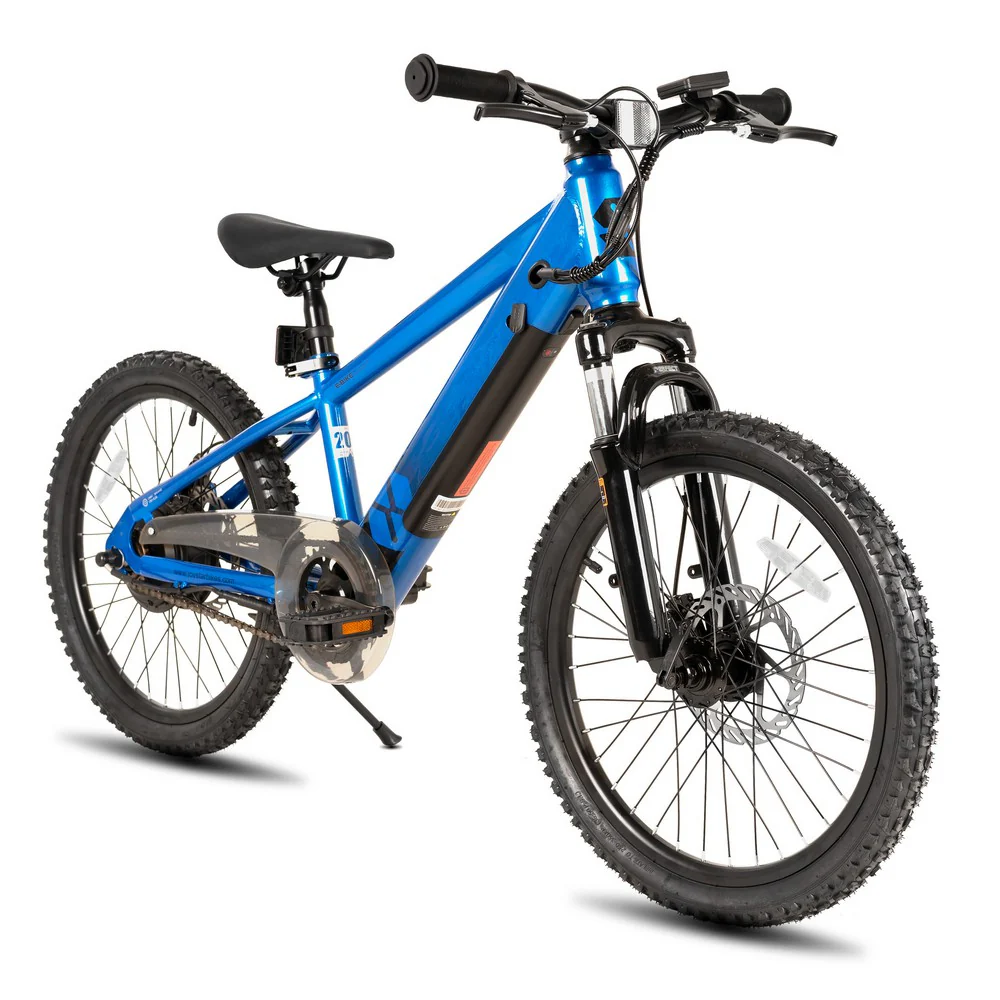 Why Electric Bikes Are the Future of Transport